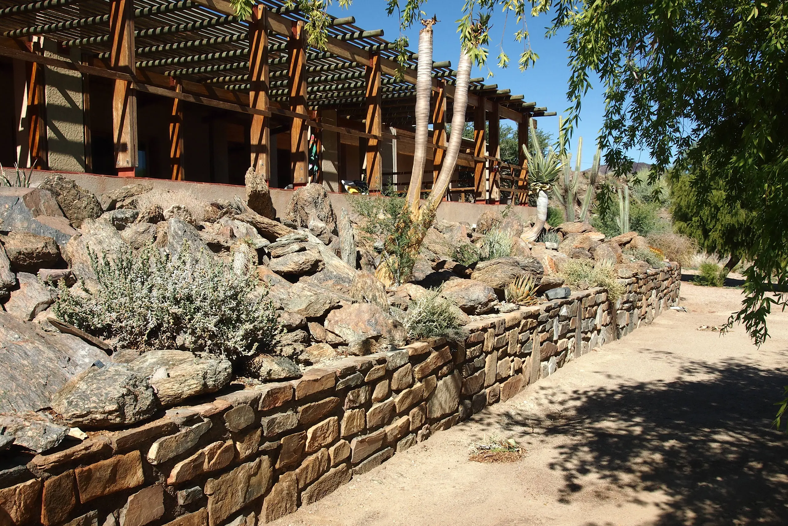 Casa S